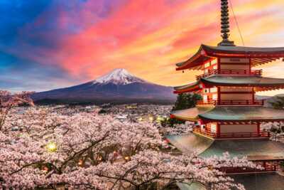 PRO1972-ทัวร์ญี่ปุ่น โตเกียว มหัศจรรย์...JAPAN ฟูจิ นาริตะ ลาเวนเดอร์ 5 วัน 3 คืน