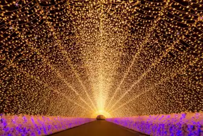 ทัวร์ญี่ปุ่น เมืองเกียวโต, โอซาก้า ทัวร์ญี่ปุ่น เกียวโต โอซาก้า XJ134 - OSAKA KYOTO TAKAYAMA SAKURA 6D 4N BY XJ "ซุปตาร์โอซาก้าสนุกสนาน แดงๆอมชมพู"(MAR-APR) 6 วัน 4 คืน - TWP-XJ134