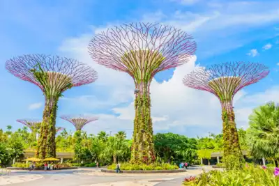 ทัวร์สิงคโปร์ เมืองเมืองสิงคโปร์ ทัวร์สิงคโปร์ เมืองสิงคโปร์ การ์เด้นส์ บาย เดอะ เบย์ มารีนาเบย์แซนส์ พิพิธภัณฑ์ฑ์สัตว์น้ำ ซี อควาเรียม เมอร์ไลออน ไชน่าทาวน์ 3 วัน 2 คืน - TWP-SPHZ-2.5