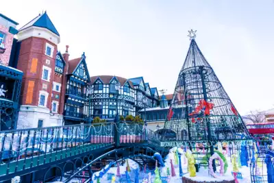 ทัวร์ญี่ปุ่น เมืองฮอกไกโด ทัวร์ญี่ปุ่น ฮอกไกโด Fall in love… HOKKAIDO SAPPORO OTARU ASAHIKAWA SNOW WORLD 5วัน 3คืน 5 วัน 3 คืน - TWP-JXJ2633