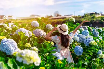 ทัวร์เวียดนาม เมืองญาจาง, ดาลัด ทัวร์เวียดนาม ญาจาง ดาลัด ซุปตาร์...สวรรค์สองฟ้า ญาจาง ดาลัด (4 วัน 3 คืน) ( NOV 25 - MAR 26) บินเช้า-กลับสาย 4 วัน 3 คืน - TWP-CXRFD0325