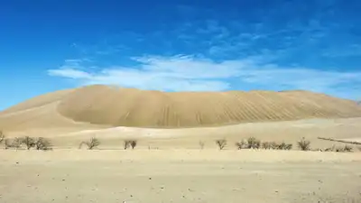 ทัวร์จีน เมืองฮูฮอต ทัวร์จีน ฮูฮอต ซุปตาร์...ความรักไม่รั่วไหล มองโกเลียใน 100% 6 วัน 5 คืน (APR - OCT 2026) บินเย็น-กลับดึก 6 วัน 5 คืน - TWP-DSNVZ0226