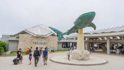 ทัวร์ญี่ปุ่น เมืองโอกินาว่า ทัวร์ญี่ปุ่น โอกินาว่า OKINAWA 4DAYS 3NIGHTS BY FD --- ซุปตาร์ โอกินาว่า ลมหนาว ปะทะ ลมทะเล! - OCT - DEC'25 4 วัน 3 คืน - TWP-FD031