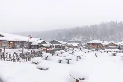 ทัวร์จีน เมืองฮาร์บิน, ฉางชุน ทัวร์จีน ฮาร์บิน ฉางชุน ซุปตาร์...SNOW WHITE กับเจ้าชายฮาร์บิน 5 วัน 4 คืน,DEC 2025 - FEB 2026,บินเช้า กลับบ่าย,(ทัวร์ไม่ลงร้าน),พักหมู่บ้านหิมะดั้งเดิม 1 คืน 5 วัน 4 คืน - TWP-HRBAQ0325