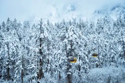 ทัวร์จีน เมืองเฉิงตู ทัวร์จีน เฉิงตู ซุปตาร์...เฉิงตู ปี้เผิงโกว เขาสี่ดรุณี ภูเขาหิมะวาวู่ Frozen Time !! 7 วัน 5 คืน (DEC 25 - MAR 26) บินดึก-กลับค่ำ 7 วัน 5 คืน - TWP-TFU3U1025