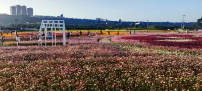 ทัวร์ไต้หวัน เมืองเมืองไทเป ทัวร์ไต้หวัน เมืองไทเป ไต้หวัน ไทจง หนานโถว ไทเป ฟาร์มแกะซิงจิ้ง นั่งกระเช้าชมวิวสุริยันจันทรา (ชมซากุระ) 4 วัน 3 คืน - TWP-ZGTPE-2601CI